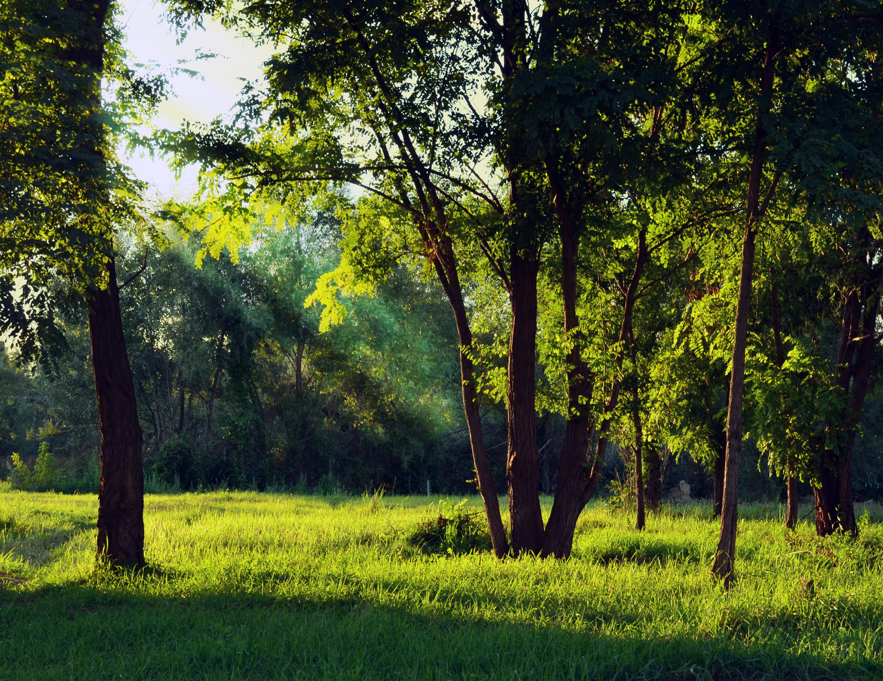 Trinidad: Central Range Reserve