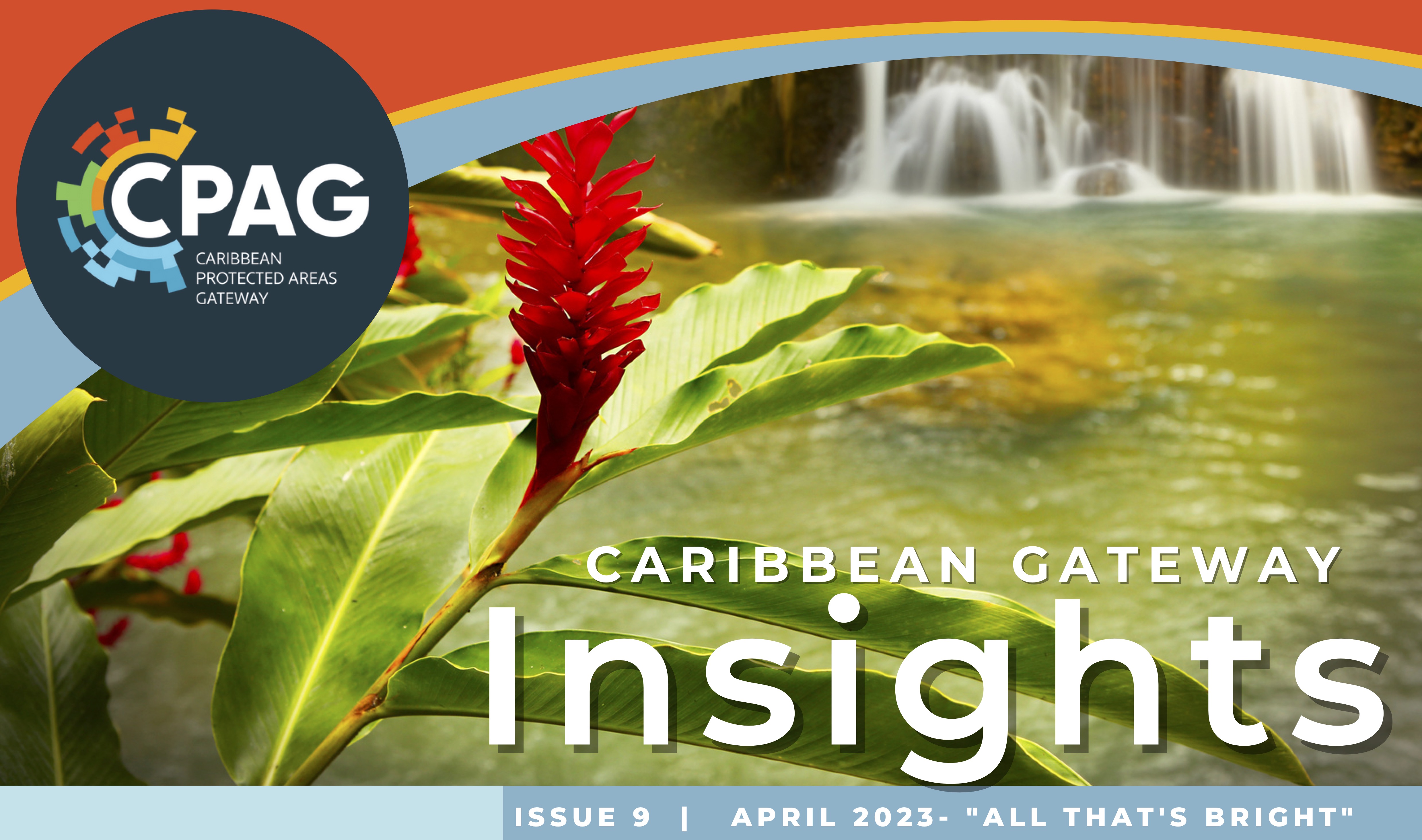 CPAG Newsletter Insights Issue 9