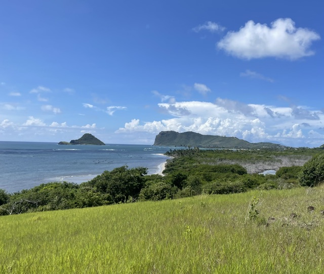 PSEPA is a narrow coastal strip located from Pointe De Caille to Mathurin's Point in the quarter of Vieux Fort