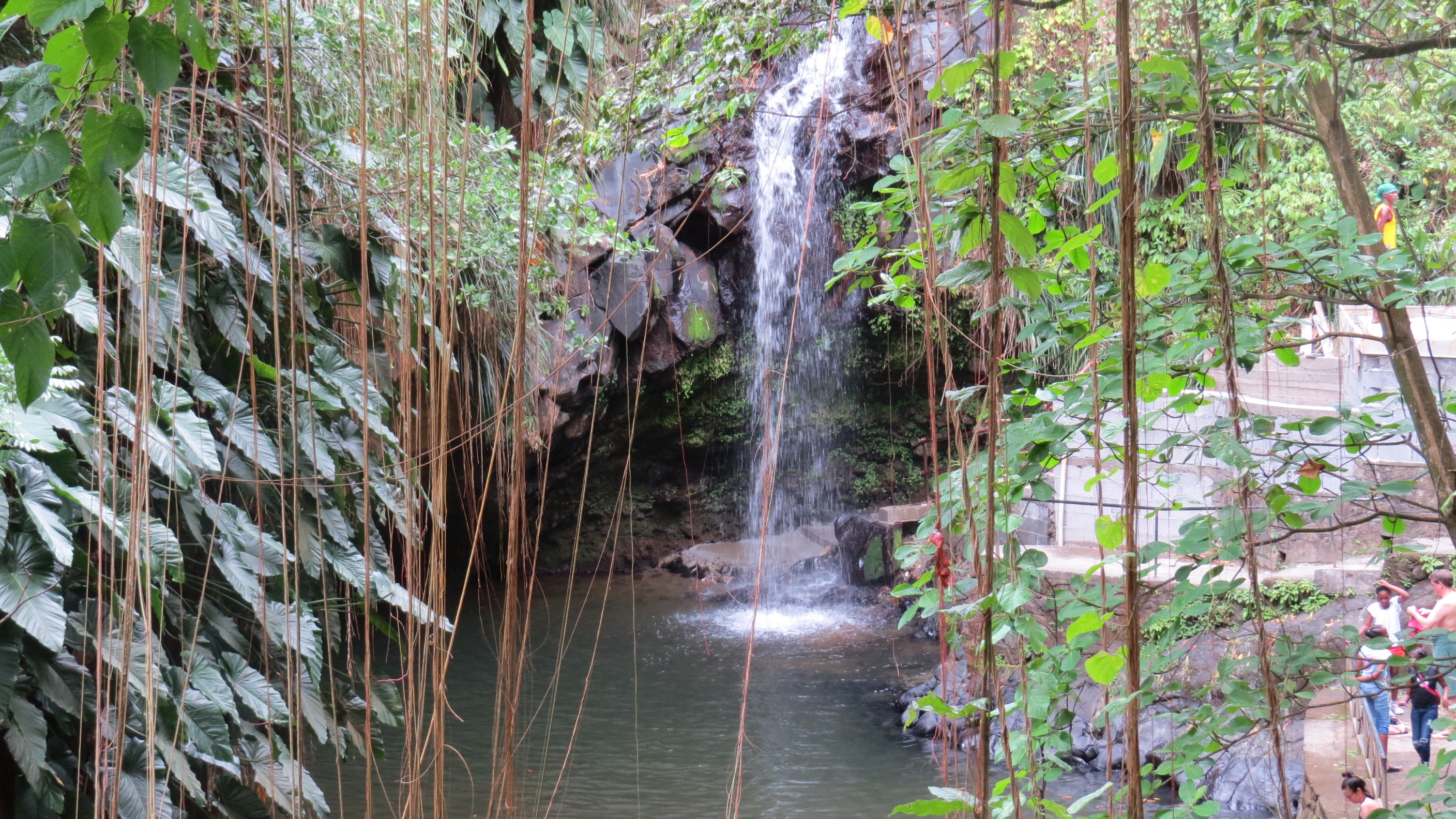 Annandale Waterfall and Forest Park