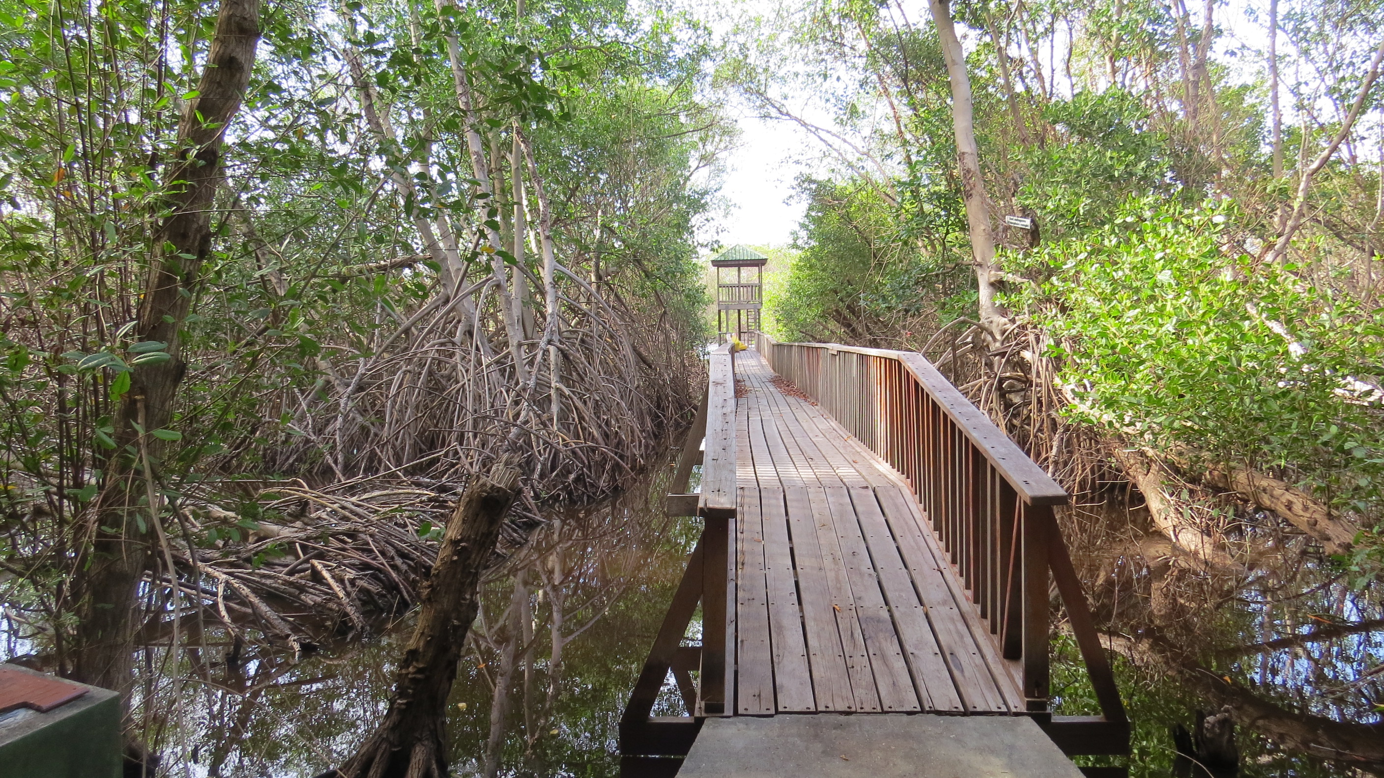 Levera Wetland Boardwalk