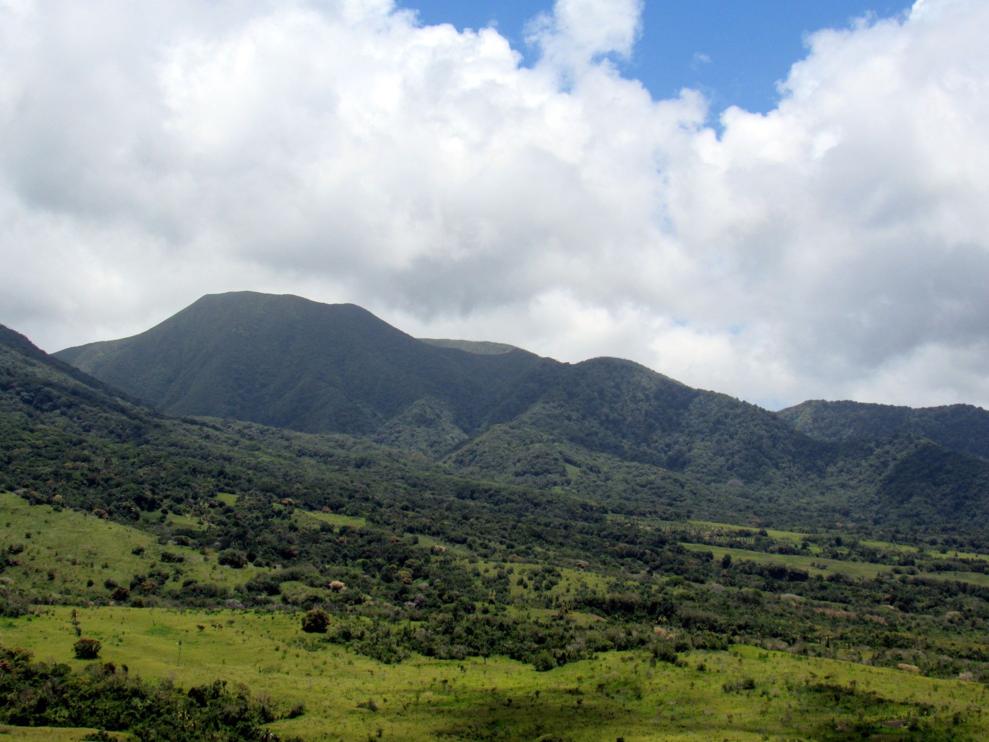 The Central Forest Reserve National Park