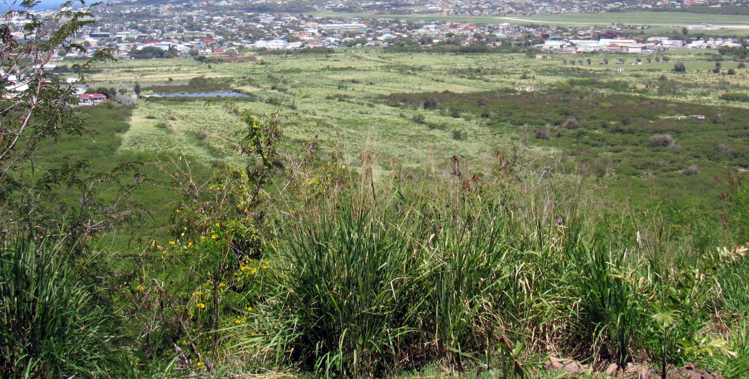 Royal Bassatterre Valley Aquifer