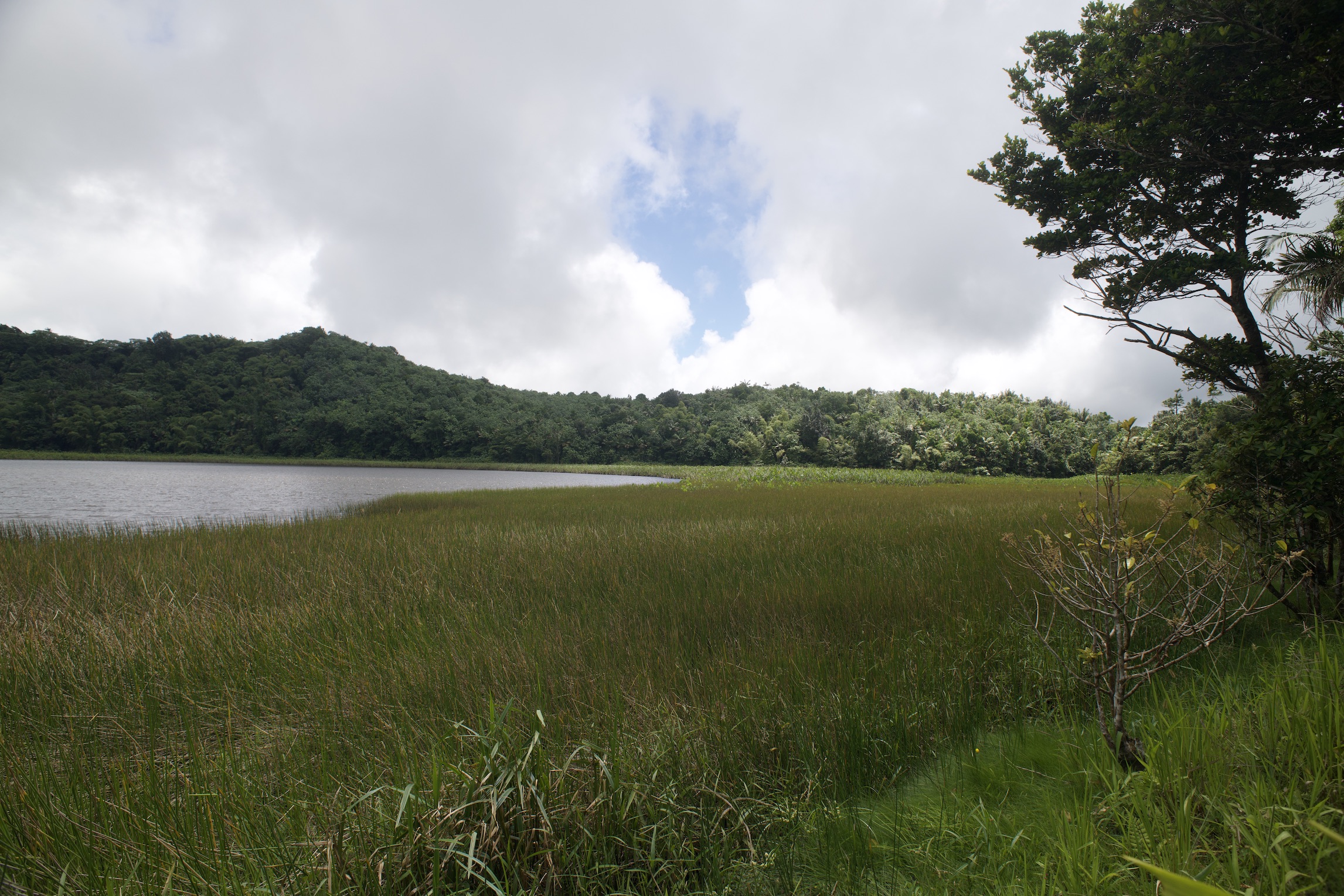 The Grand Etang Lake