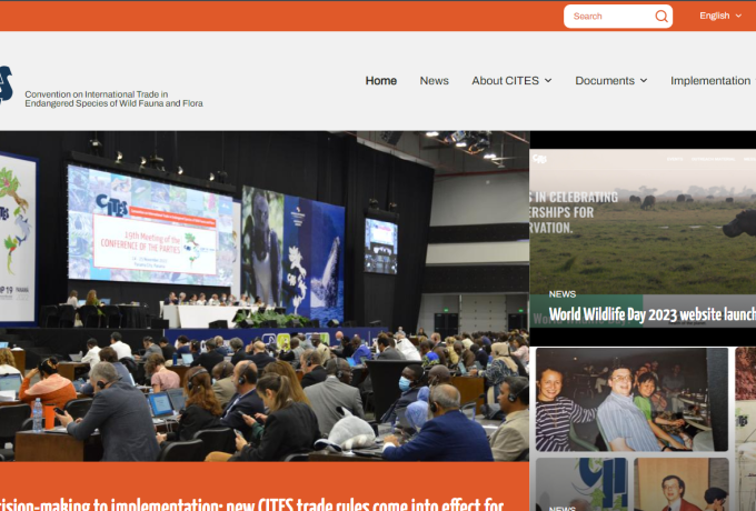 CITES Site Screenshot