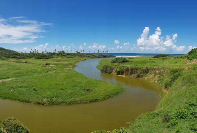 Barbados Dale Benskin IUCN