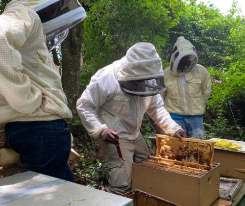 Apiculture Industry